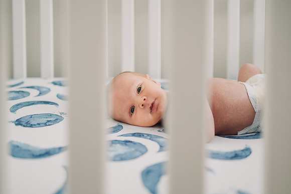 mcCoy family 2023 monica carlson photography
