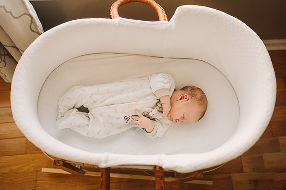 mcCoy family 2023 monica carlson photography