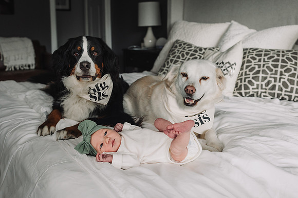 trower family 2023 monica carlson photography