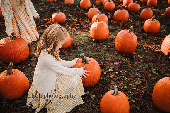 kelly family by monica carlson photography