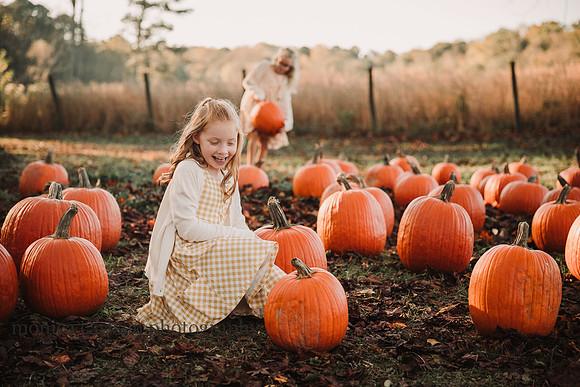 kelly family by monica carlson photography