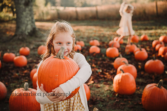 kelly family by monica carlson photography