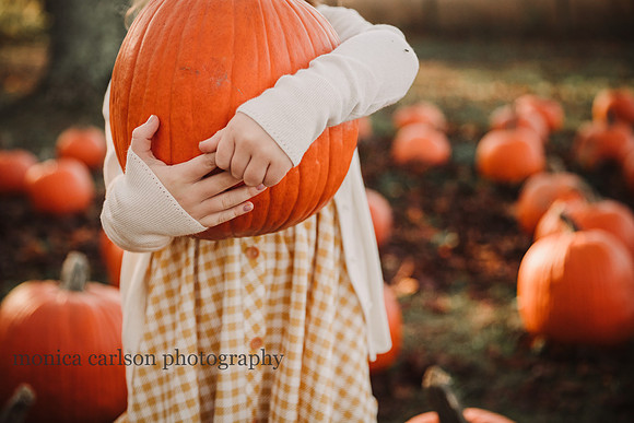 kelly family by monica carlson photography