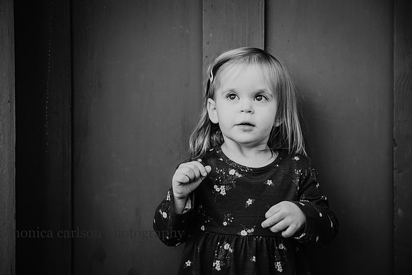 baldner 2020 by monica carlson photography