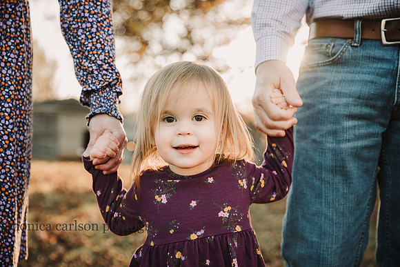 portrait of a little girl that is holding her parents hands