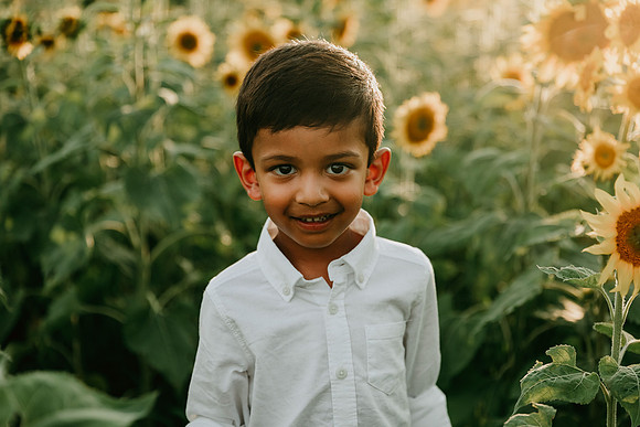 portrait of a indian boy in a field of sunflowers by monica carlson