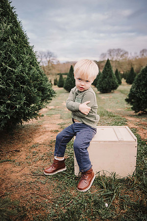 salvati family 2024 by monica carlson photography