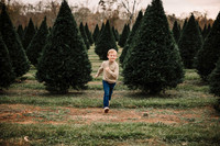 salvati family 2024 by monica carlson photography