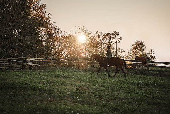 girl rides her horse briskly on a grassy field