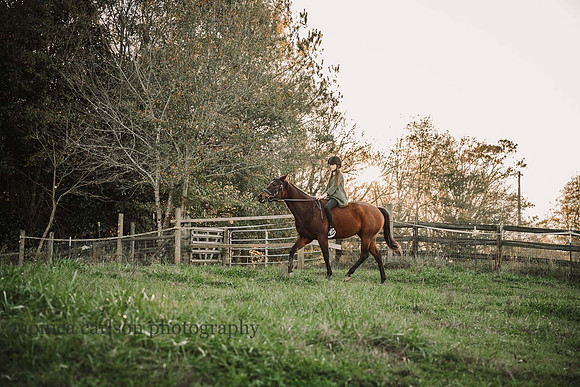 girl walk her horse on a grass field