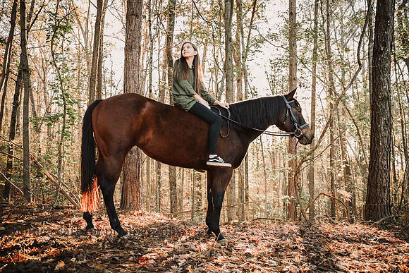 brown horse majestically stands with a young girl on her back