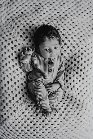 tripathi 2025 by monica carlson photography