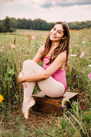 georgia wildflowers 2025 by monica carlson photography