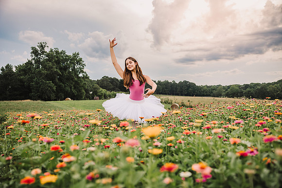 georgia wildflowers 2025 by monica carlson photography