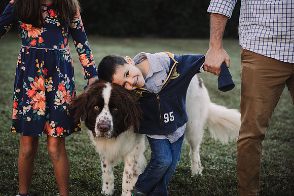 boy hugs his saint bernard