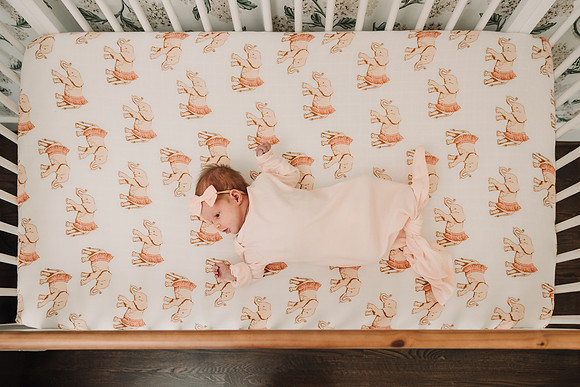 schroder 2024 by monica carlson photography