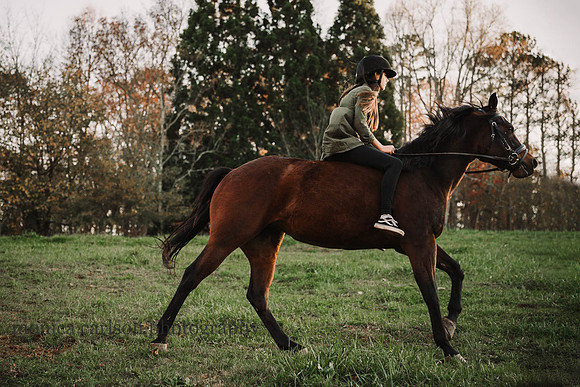 girl runs her horse on a grass field