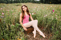 georgia wildflowers 2025 by monica carlson photography
