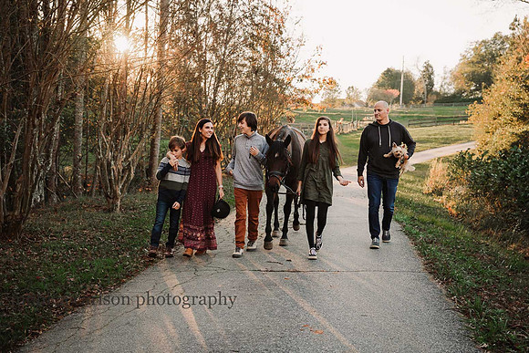 family walks with their horse and dog