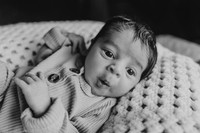 tripathi 2025 by monica carlson photography